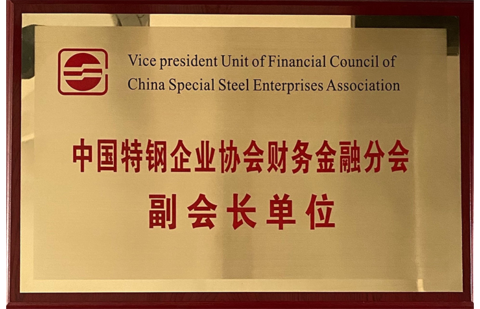 Vice-président de l'unité des finances et de la branche financière de l'Association des entreprises chinoises d'acier spécial